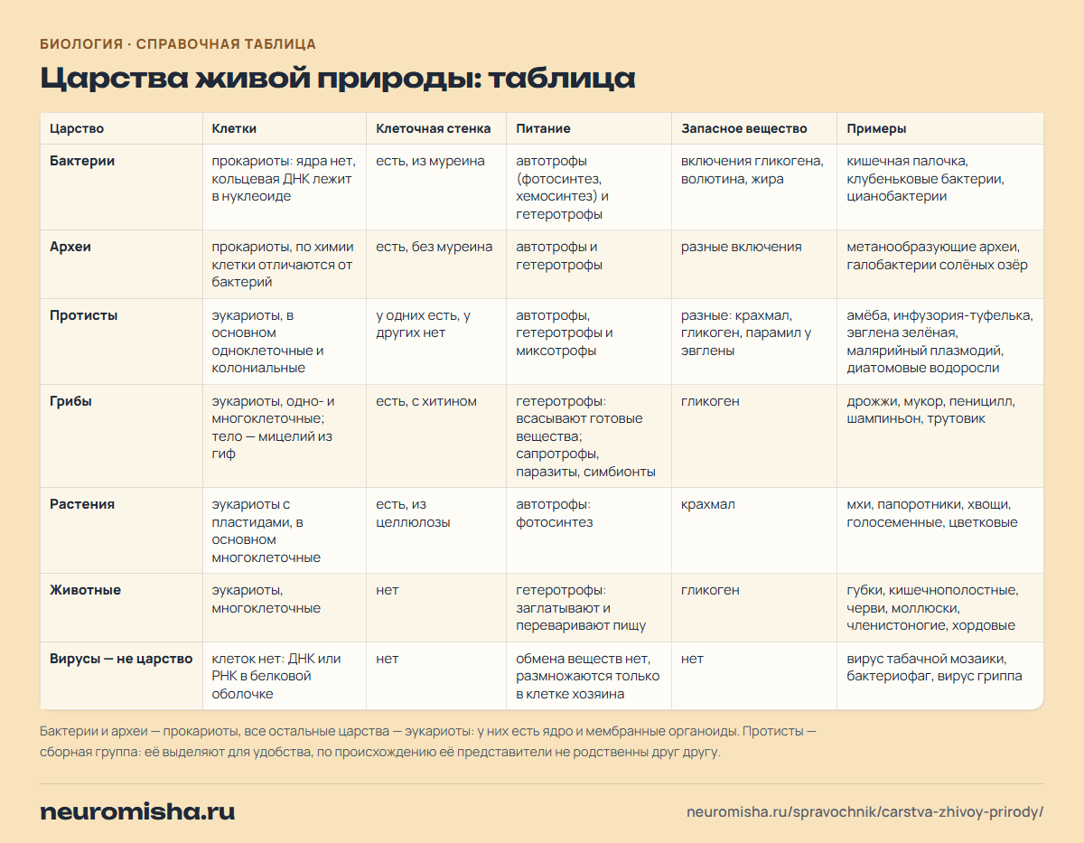 Царства живой природы: таблица