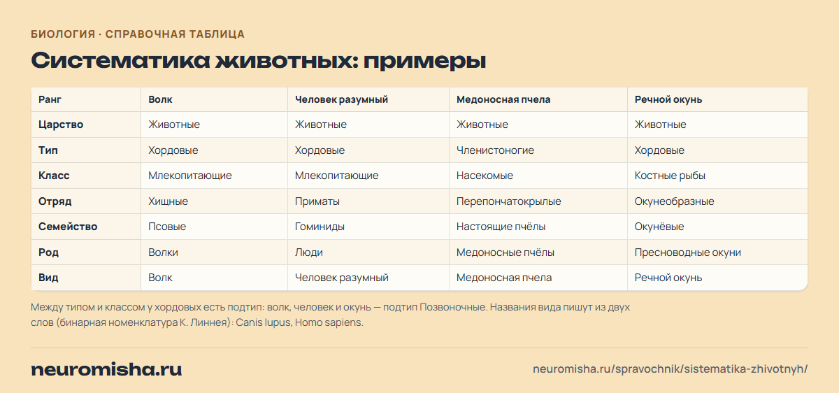 Систематика животных: примеры
