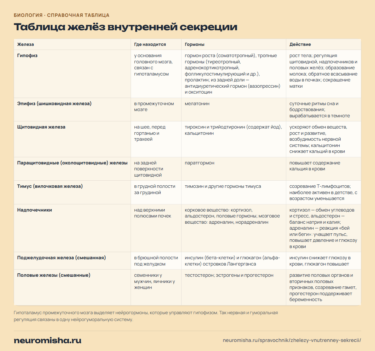 Железы внутренней секреции: таблица желёз внутренней секреции